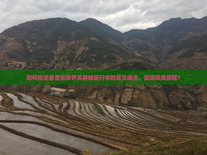 如何规堡春至张家界芙蓉镇旅行中的常见痛点，实现完美旅程？