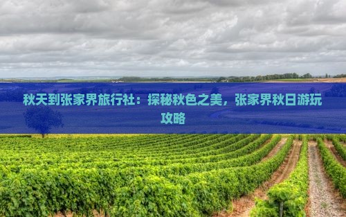 秋天到张家界旅行社：探秘秋色之美，张家界秋日游玩攻略