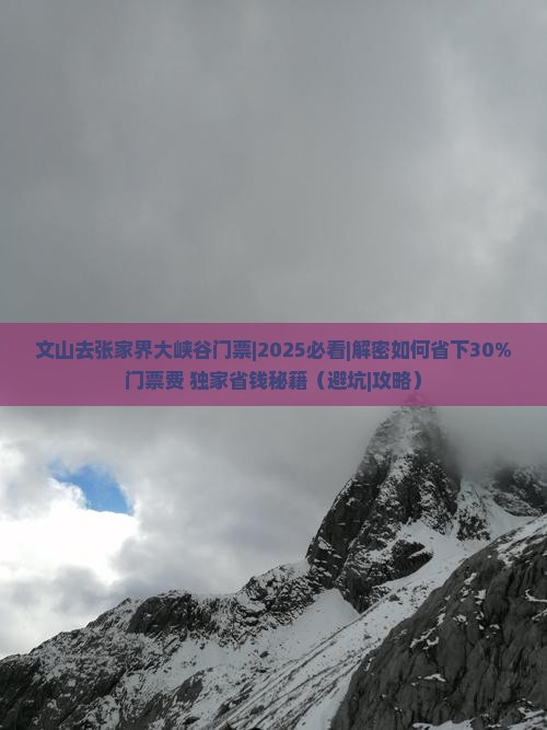 文山去张家界大峡谷门票