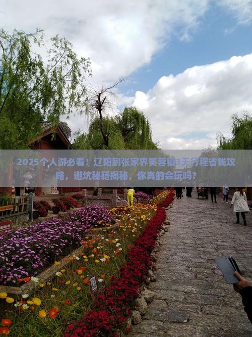 辽阳到张家界芙蓉镇个人游