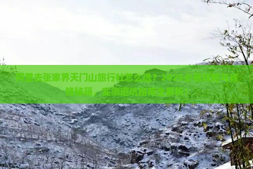 阿里去张家界天门山旅行社