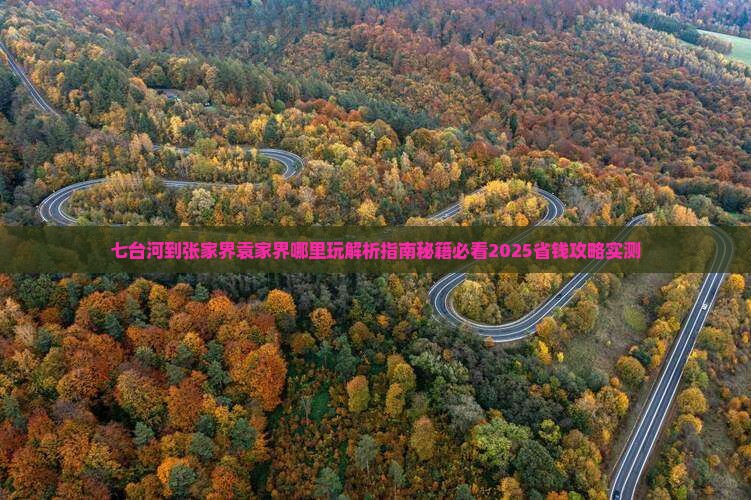 七台河到张家界袁家界哪里玩