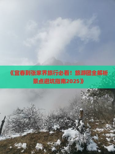 宜春到张家界大型旅游团