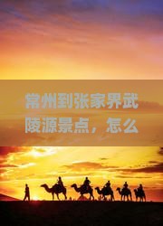 常州到张家界武陵源景点