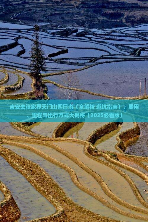 吉安去张家界天门山四日游