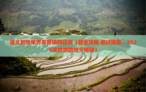 遵义到张家界芙蓉镇四日游