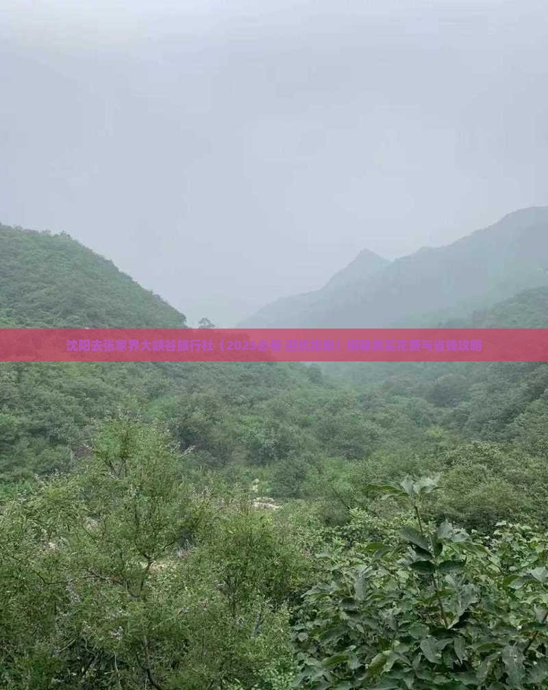 沈阳去张家界大峡谷旅行社