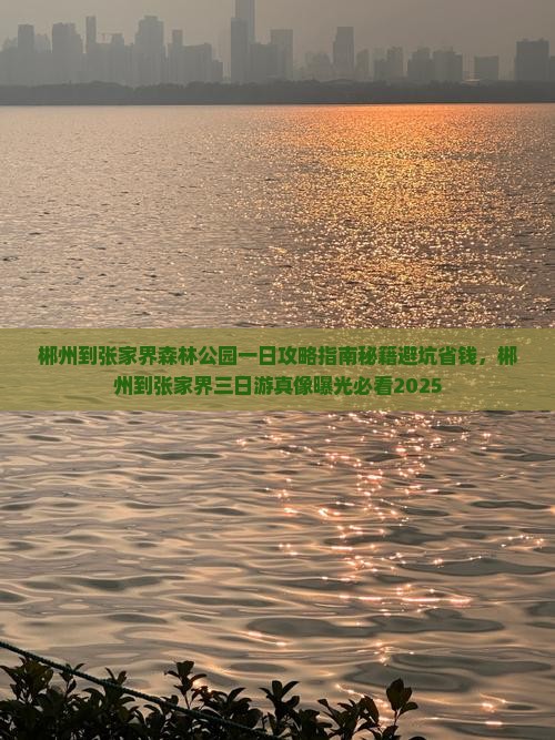 郴州到张家界森林公园一日