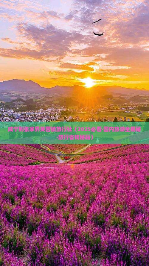 咸宁到张家界芙蓉镇旅行社