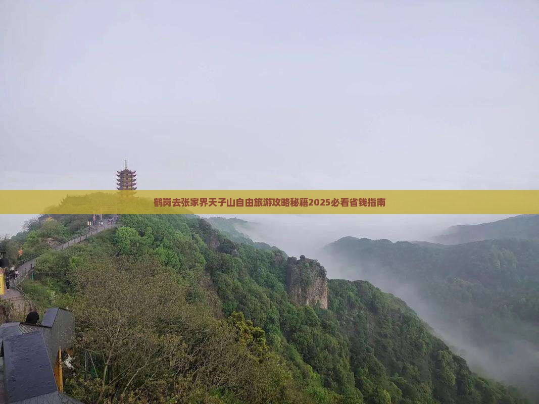 鹤岗去张家界天子山自由团