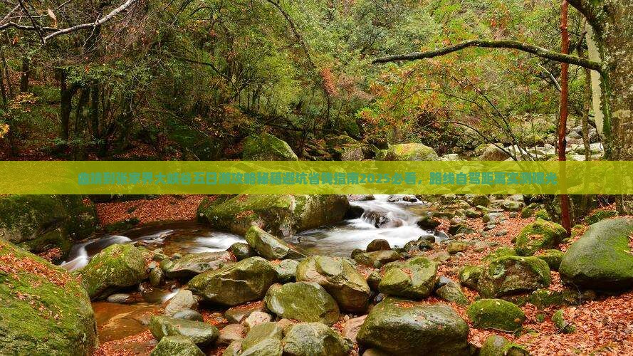 曲靖到张家界大峡谷五日游