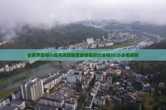 乌海到张家界袁家界旅游小吃