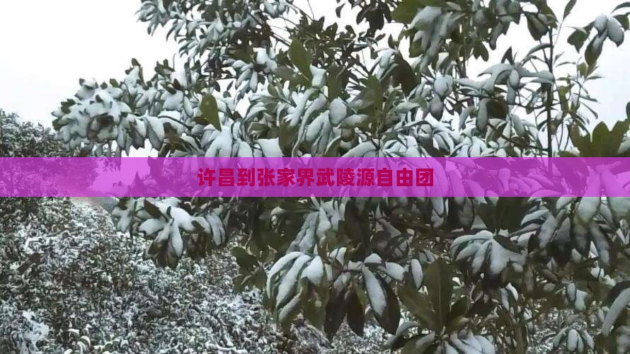 许昌到张家界武陵源自由团