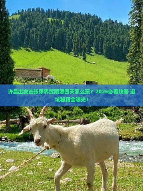 许昌去张家界武陵源四日游