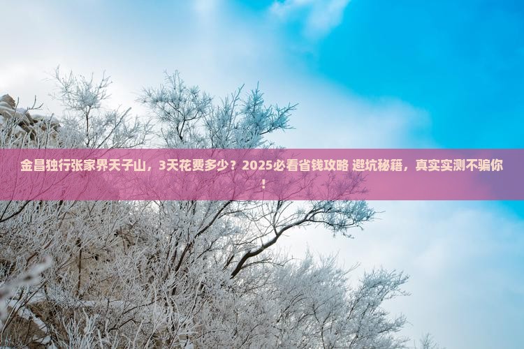 金昌去张家界天子山个人游