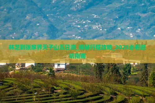 林芝到张家界天子山五日游
