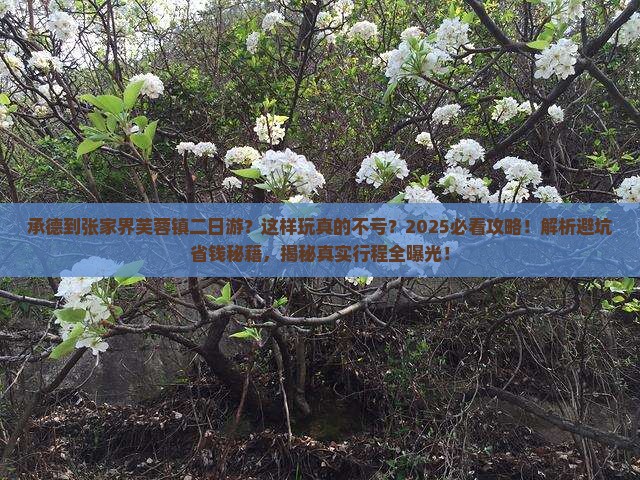承德到张家界芙蓉镇二日游