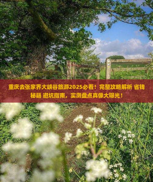 重庆去张家界大峡谷旅游