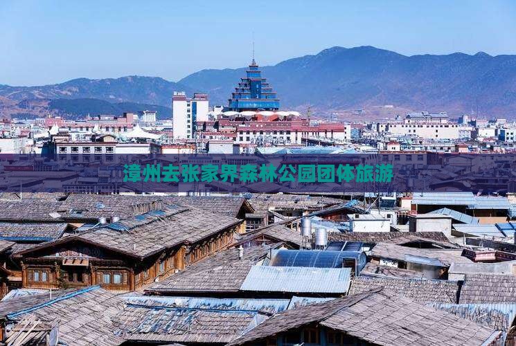 漳州去张家界森林公园团体旅游