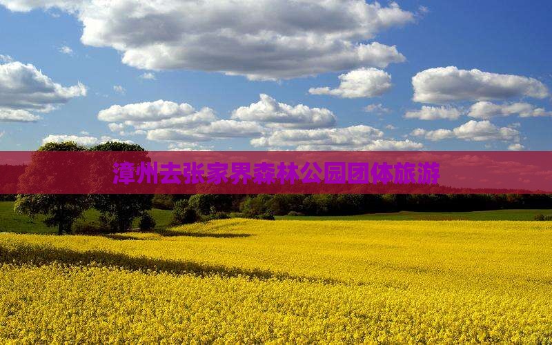 漳州去张家界森林公园团体旅游