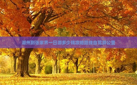 湖州到张家界一日