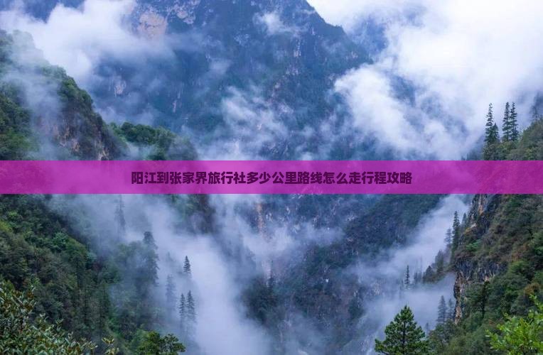 阳江到张家界旅行社 阳江到张家界旅行社