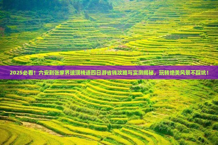 六安到张家界玻璃栈道四日游