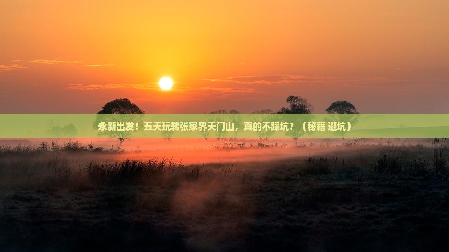 永新到张家界天门山五日游
