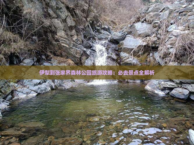 伊犁去张家界森林公园一日