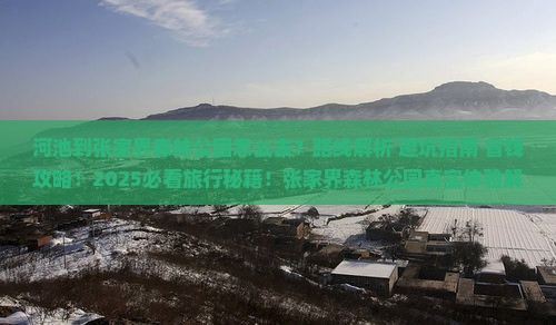 河池到张家界森林公园旅游