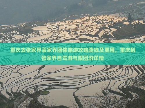 重庆去张家界袁家界团体旅游