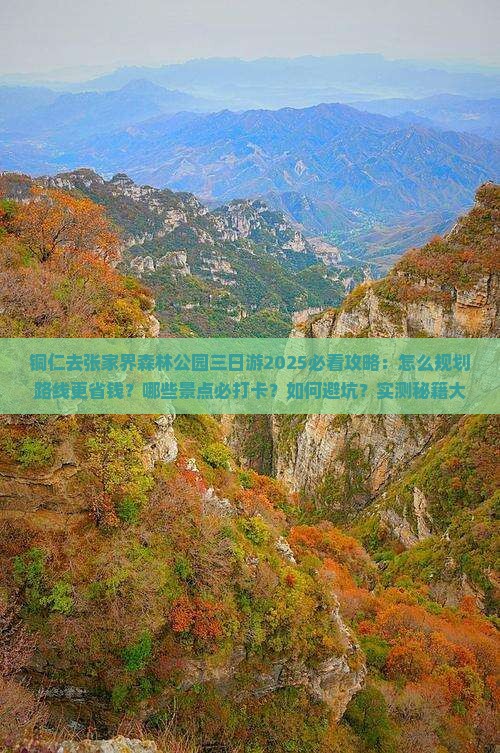 铜仁去张家界森林公园三日游