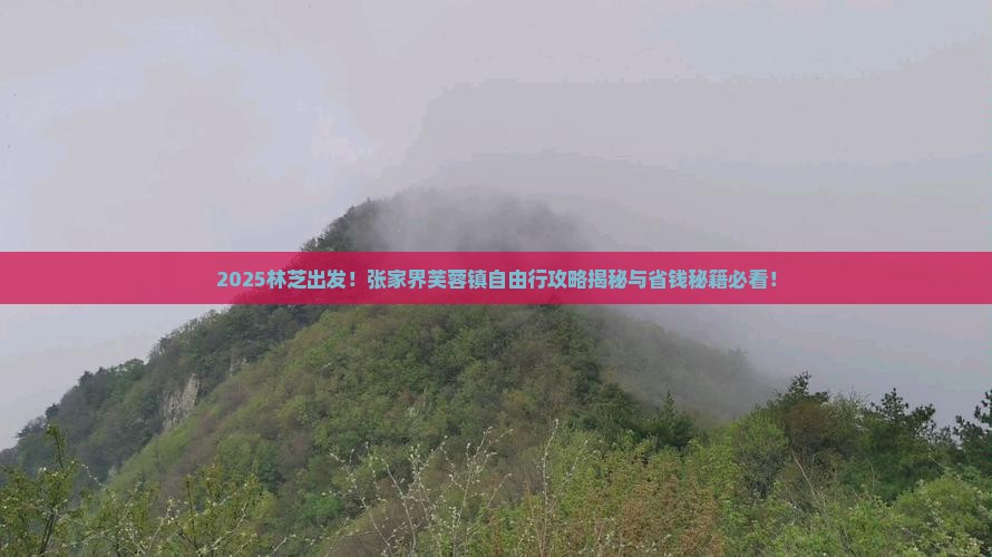 林芝去张家界芙蓉镇自由团