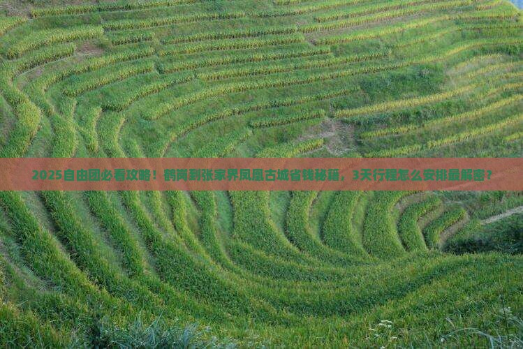 鹤岗到张家界凤凰古城自由团
