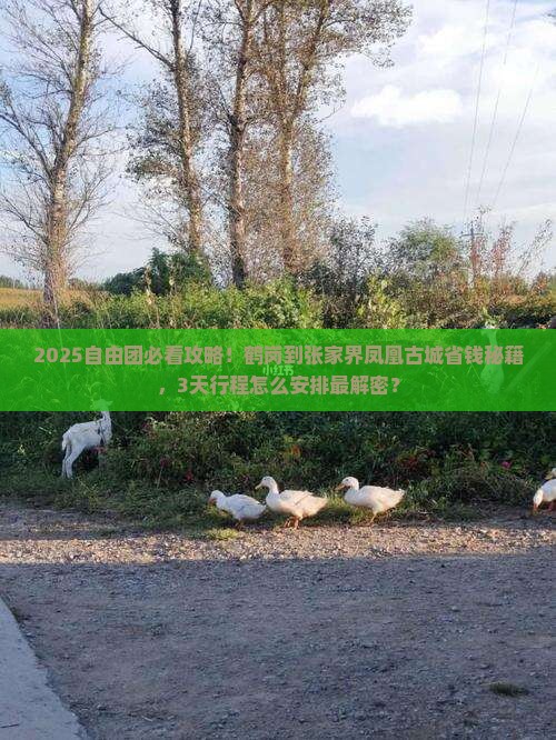 鹤岗到张家界凤凰古城自由团