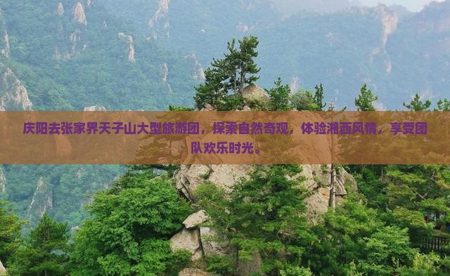 庆阳去张家界天子山大型旅游团