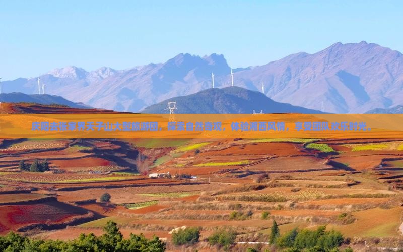 庆阳去张家界天子山大型旅游团