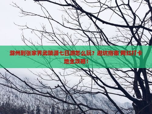 滁州到张家界武陵源七日游