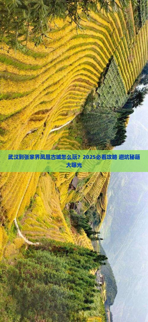 武汉到张家界凤凰古城旅行社