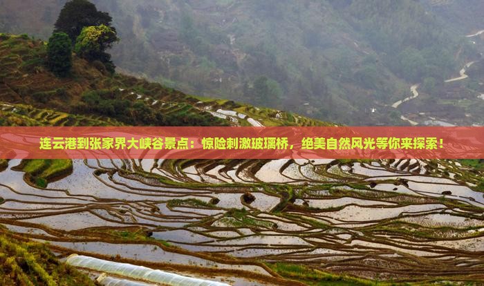 连云港到张家界大峡谷景点