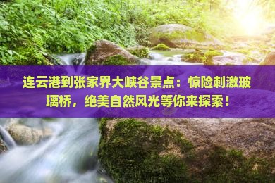 连云港到张家界大峡谷景点