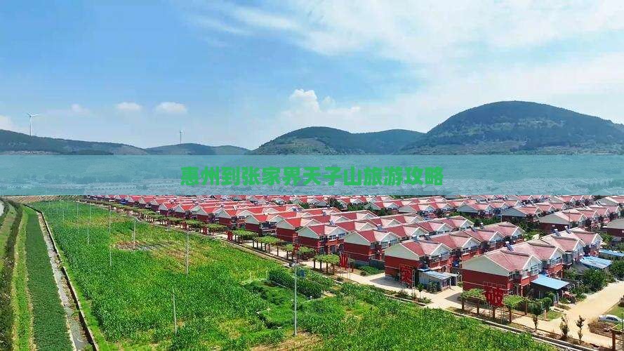 惠州到张家界天子山团体旅游