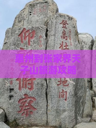惠州到张家界天子山团体旅游