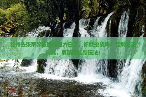 钦州去张家界玻璃栈道六日游