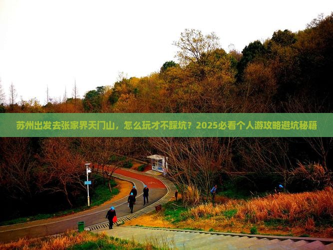 苏州到张家界天门山个人游