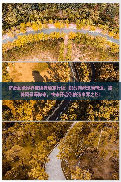济源到张家界玻璃栈道旅行社