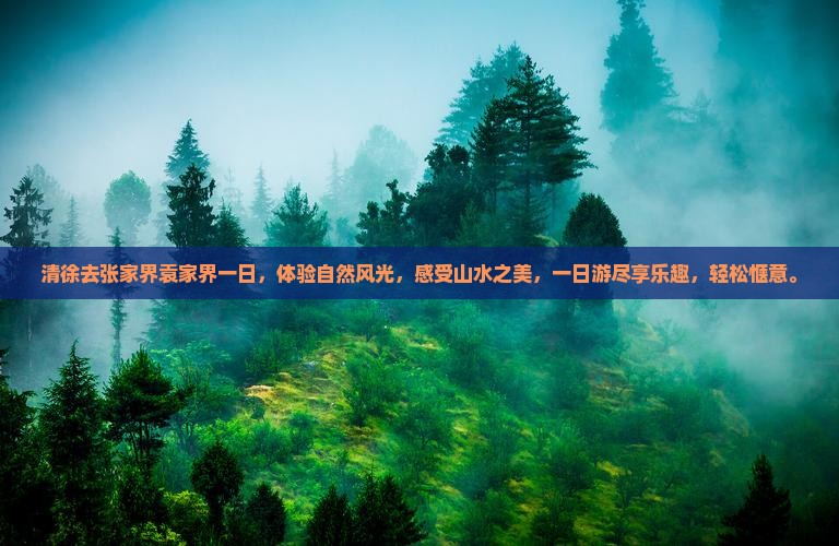 清徐去张家界袁家界一日