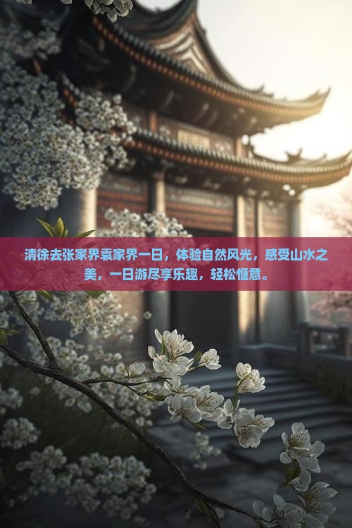清徐去张家界袁家界一日