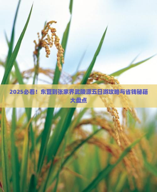 东营到张家界武陵源五日游