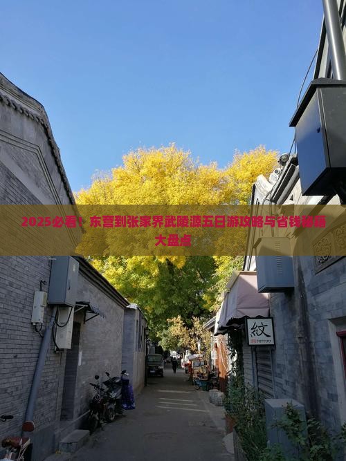 东营到张家界武陵源五日游